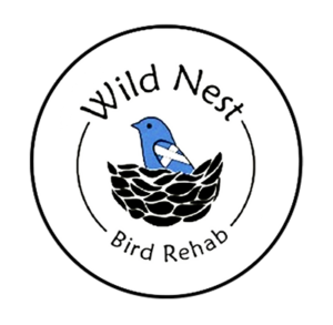 Wild Nest Bird Rehab