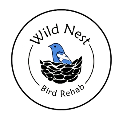 Wild Nest Bird Rehab